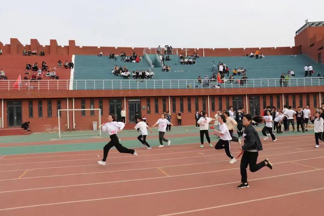 d6512e8532ea3f664835b8c4acf75ca6.jpg